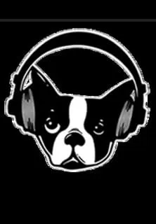 Snarky Puppy resmi
