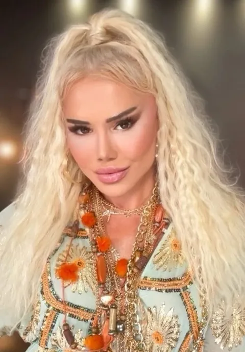 Ceylan resmi