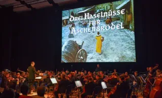 Drei Haselnüsse für Aschenbrödel - Das Musical
