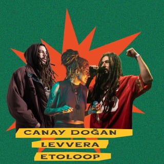 Roots Rock Reggae küçük resim