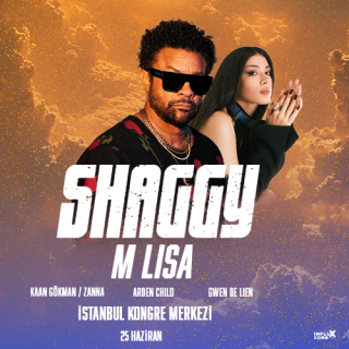 Incore Festival İstanbul: Shaggy küçük resim