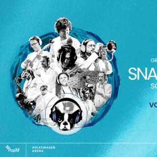 Snarky Puppy