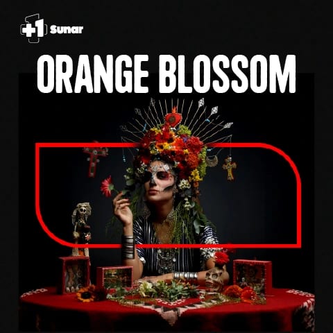 +1 Sunar: Orange Blossom thumbnail