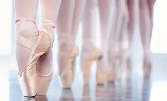 Schwanensee - Grand Classic Ballet - Die traditionelle Wintertournee card