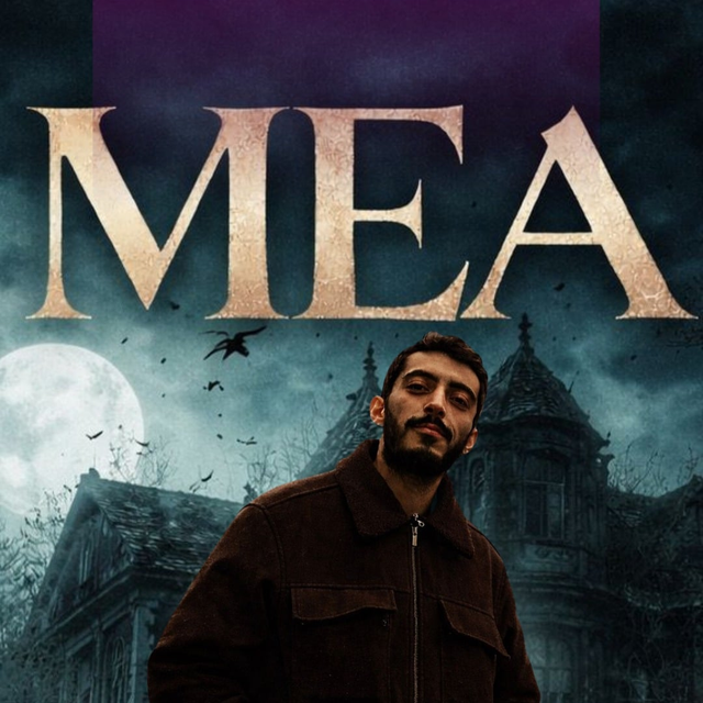 MEA Konseri card