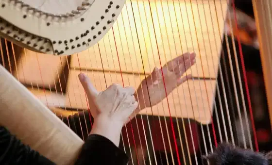 Orchestra Mondo - Open Air Konzert - LA VIE BOHÈME "Tango meets Gypsy" card