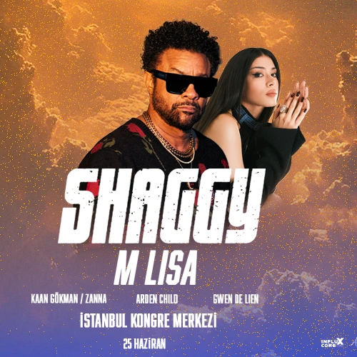 Incore Festival İstanbul: Shaggy küçük resim