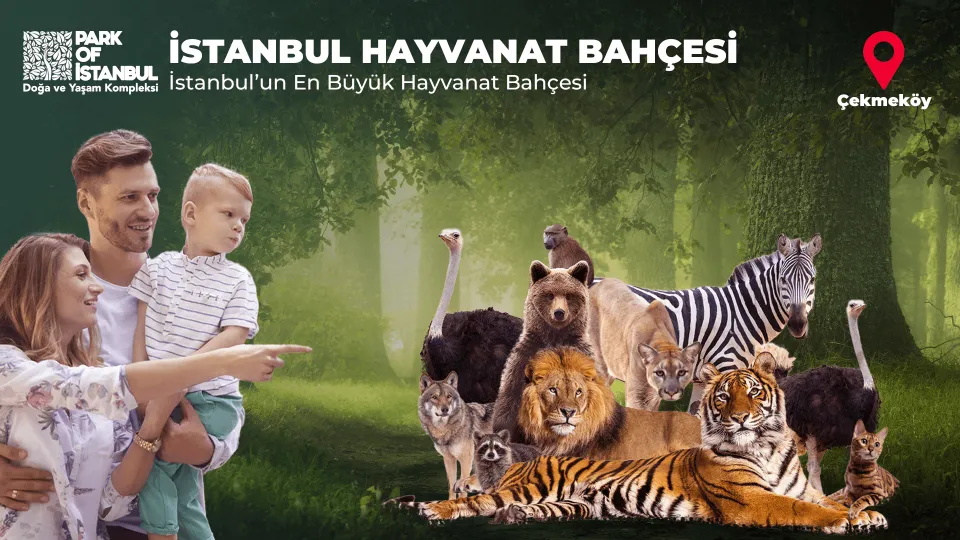 Park Of İstanbul card
