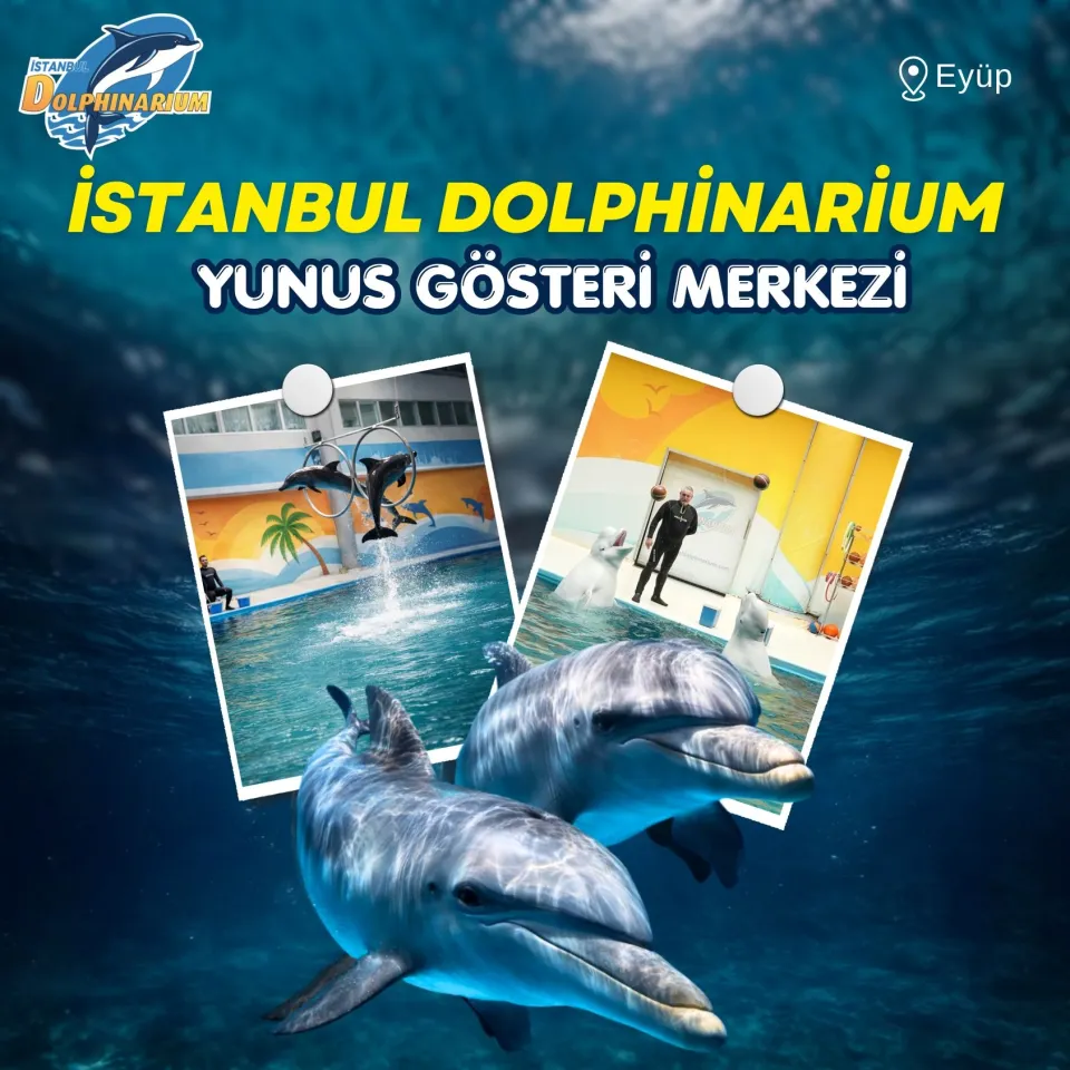 İstanbul Dolphinarium card