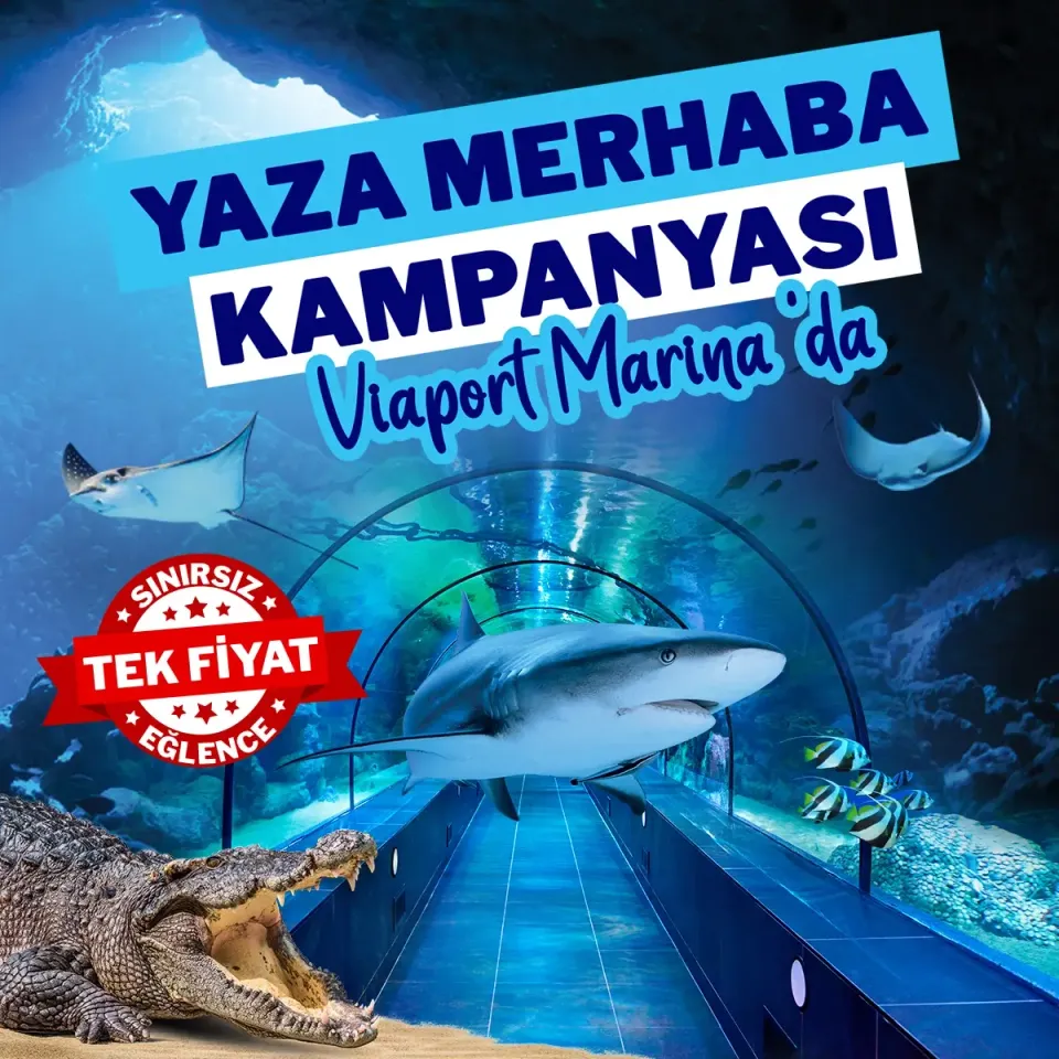 ViaSea Akvaryum card