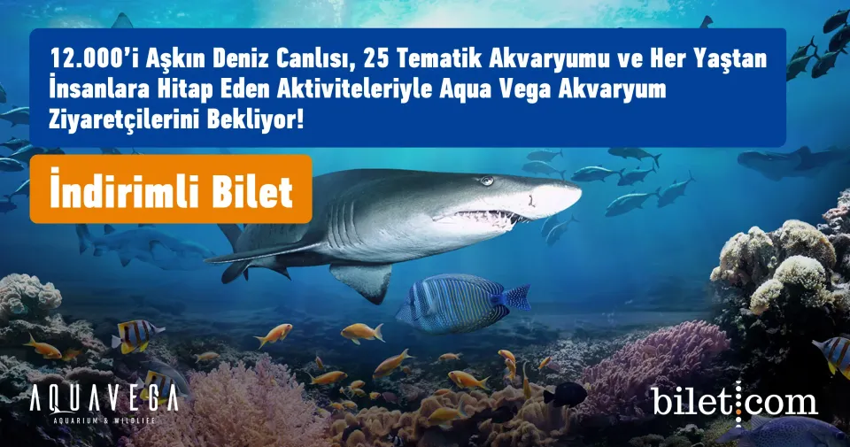 Aqua Vega Akvaryum thumbnail