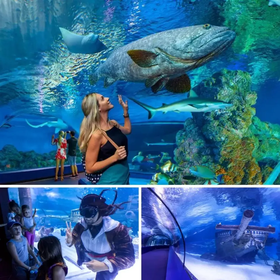 Antalya Aquarium thumbnail