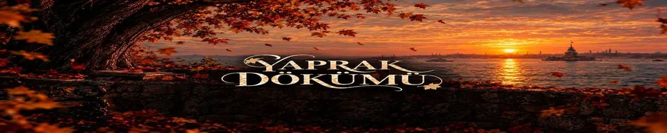 Yaprak Dökümü card
