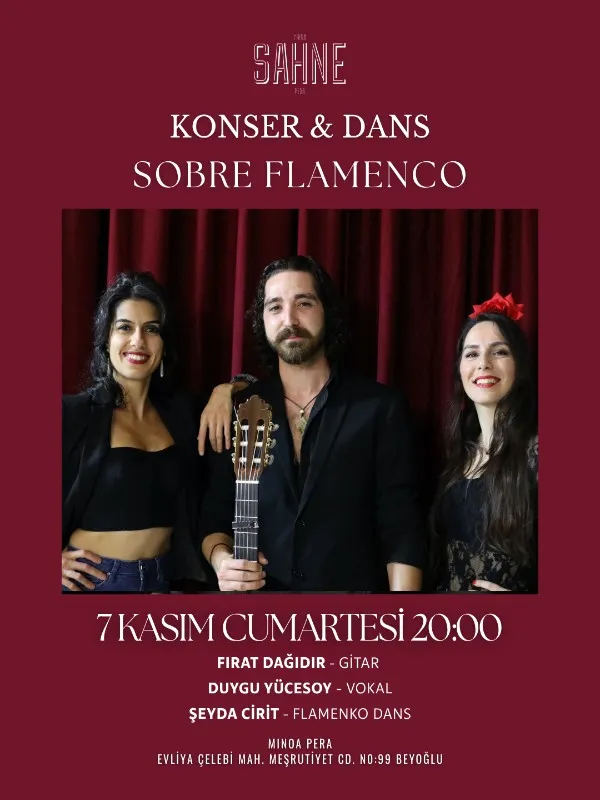 Sobre Flamenco (Flamenco Gösterisi) card