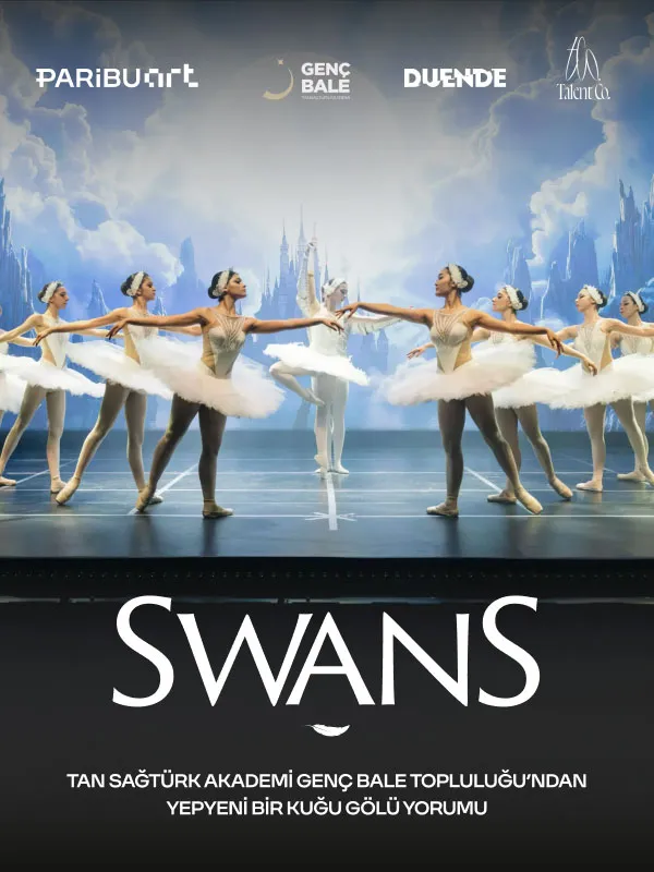 Swans card