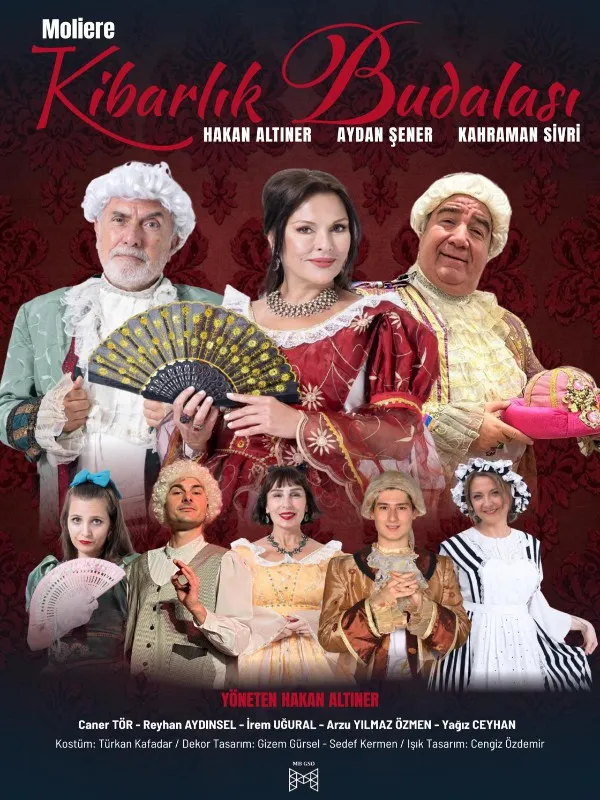 Kibarlık Budalası card