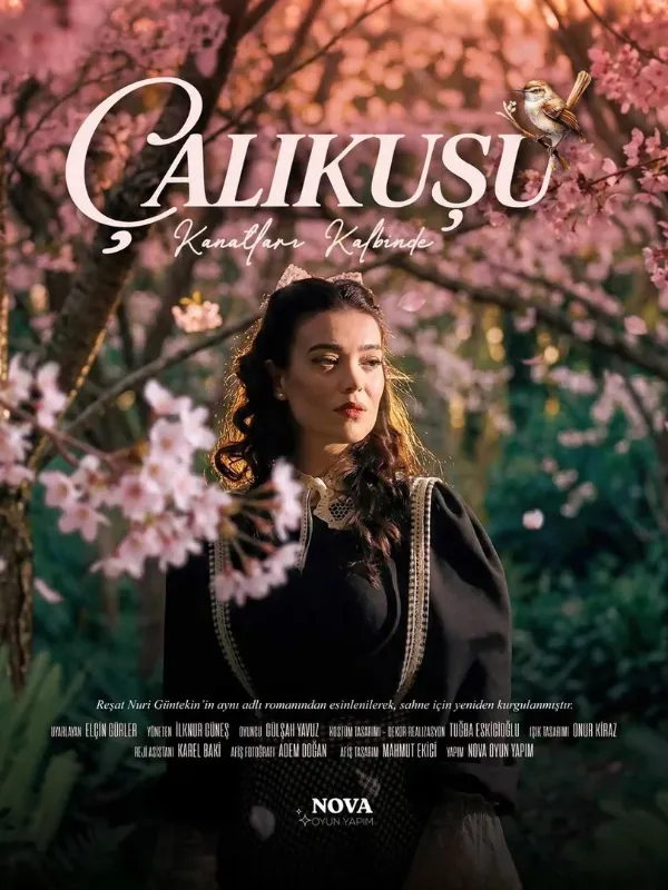 Çalıkuşu - Kanatları Kalbinde card