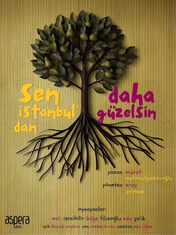 Sen İstanbul'dan Daha Güzelsin card