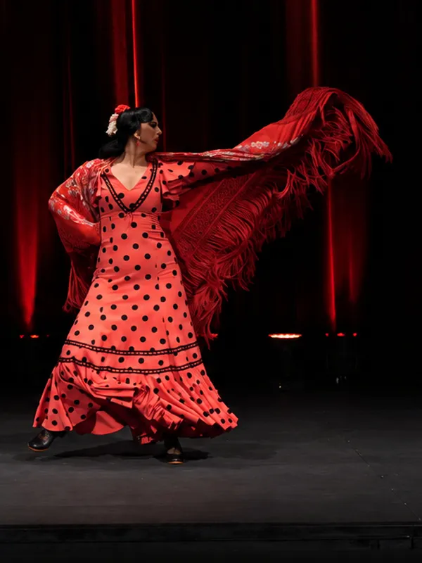 Zambomba Flamenca thumbnail