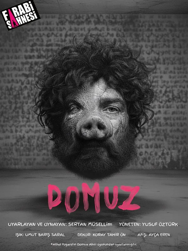 Domuz card