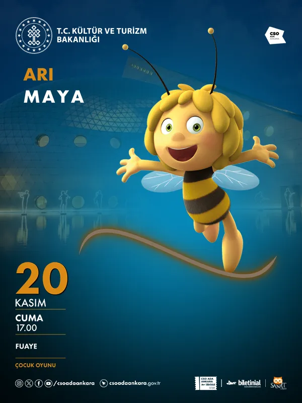 Arı Maya card