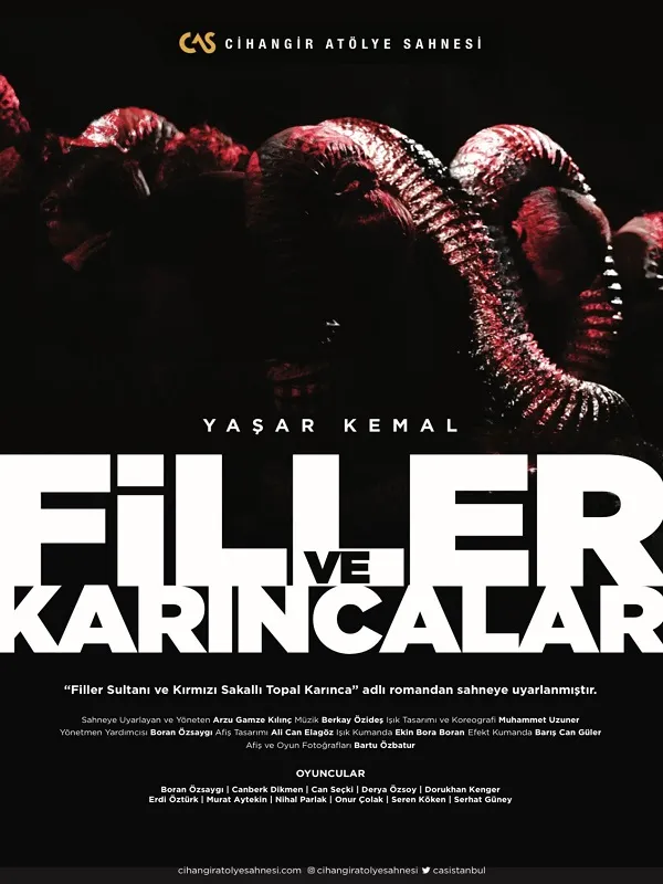 Filler ve Karıncalar card