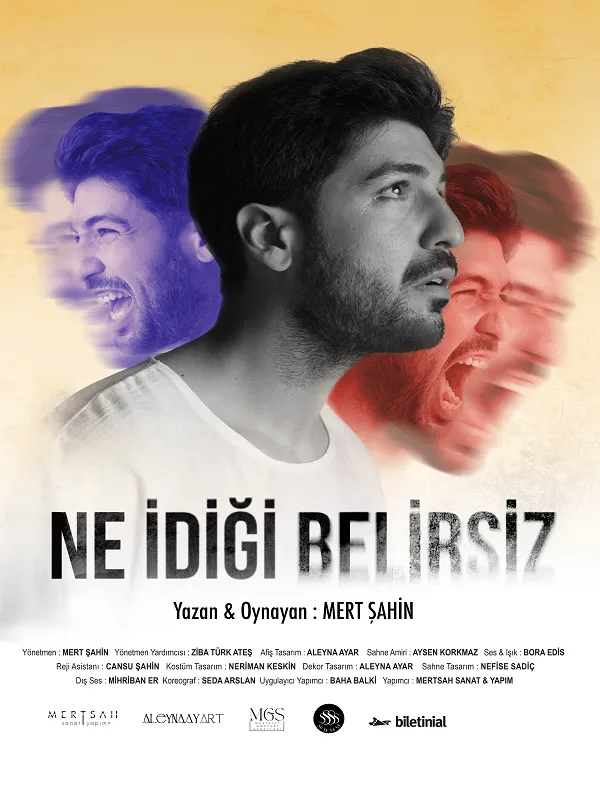 Ne İdiği Belirsiz card