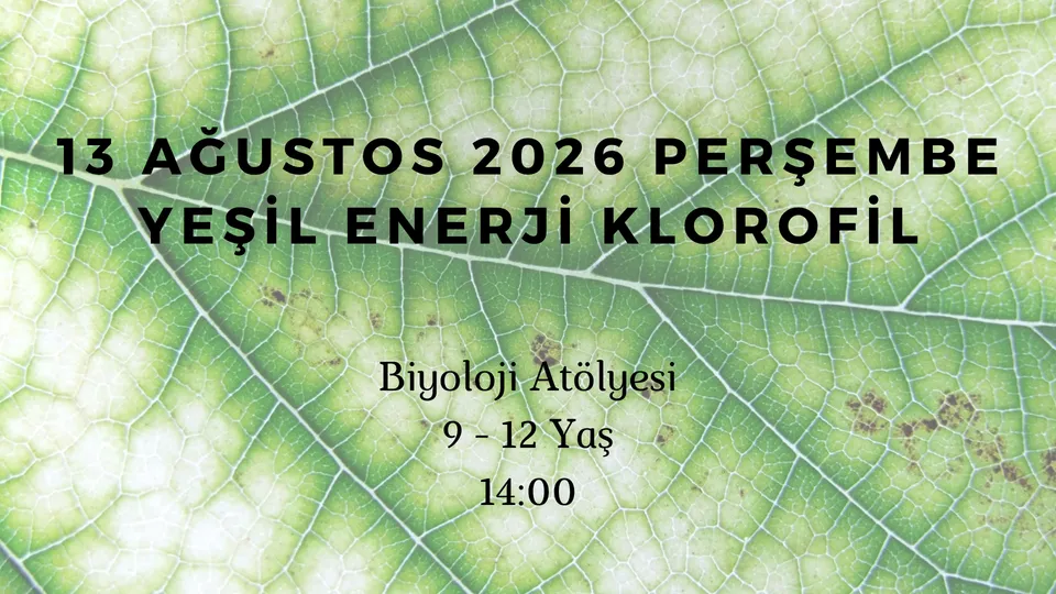 Yeşil Enerji - Klorofil 9-12 Yaş card