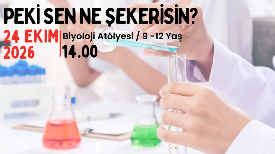 Peki Sen Ne Şekerisin? 9-12 Yaş card