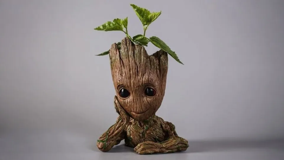 Heykel - Groot
 card