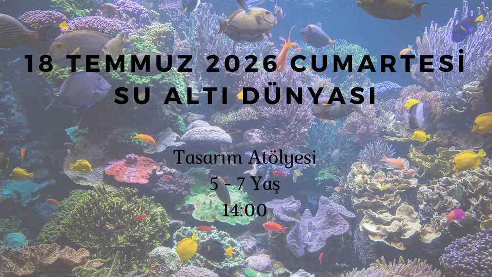 Su Altı Dünyası 5-7 Yaş card