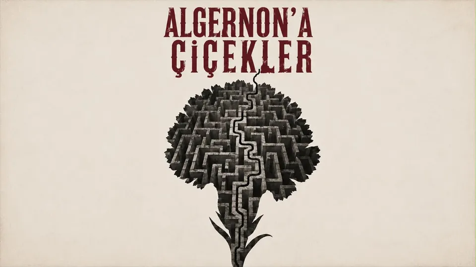 Algernon'a Çiçekler card