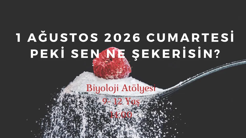 Peki Sen Ne Şekerisin? 9-12 Yaş card