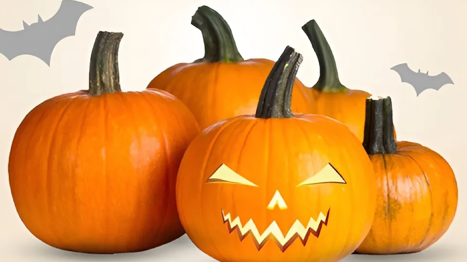 Halloween Party thumbnail