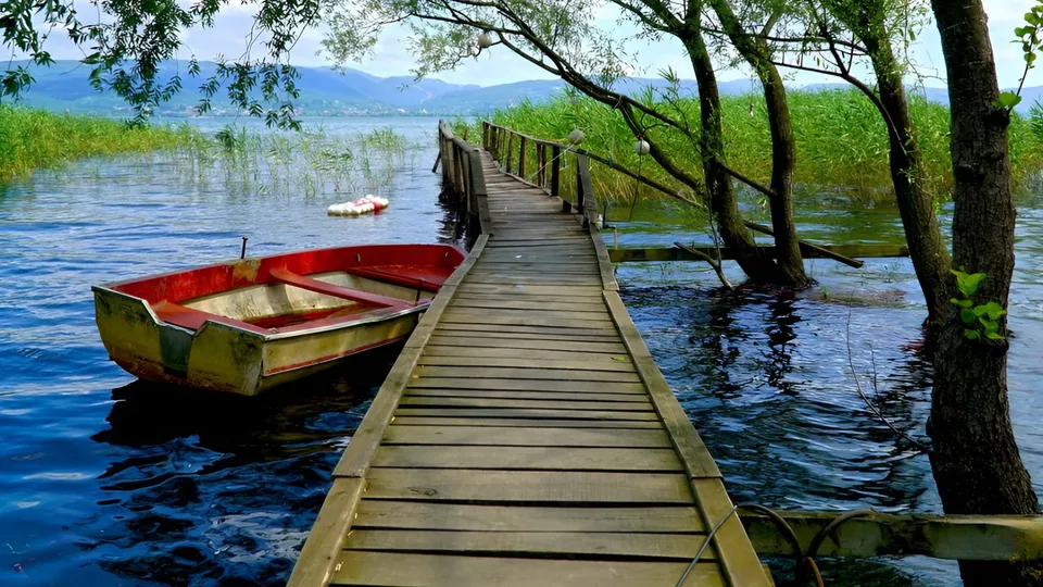 İstanbul'dan Sapanca & Masukiye Tam Gün Doğa Turu card