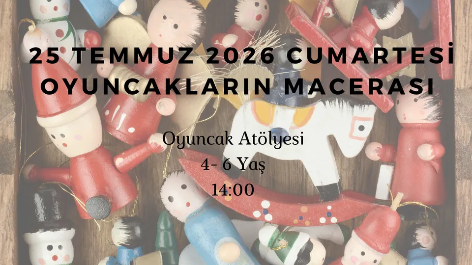 Oyuncakların Macerası 4-6 Yaş card