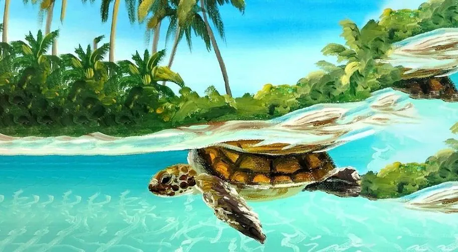 Resim - Caretta Caretta
 card