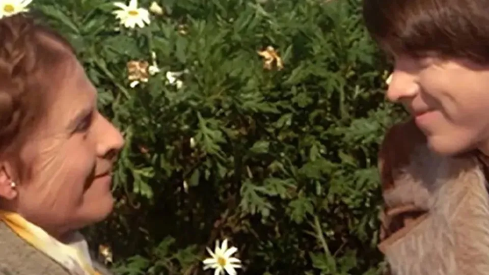 Harold ve Maude card