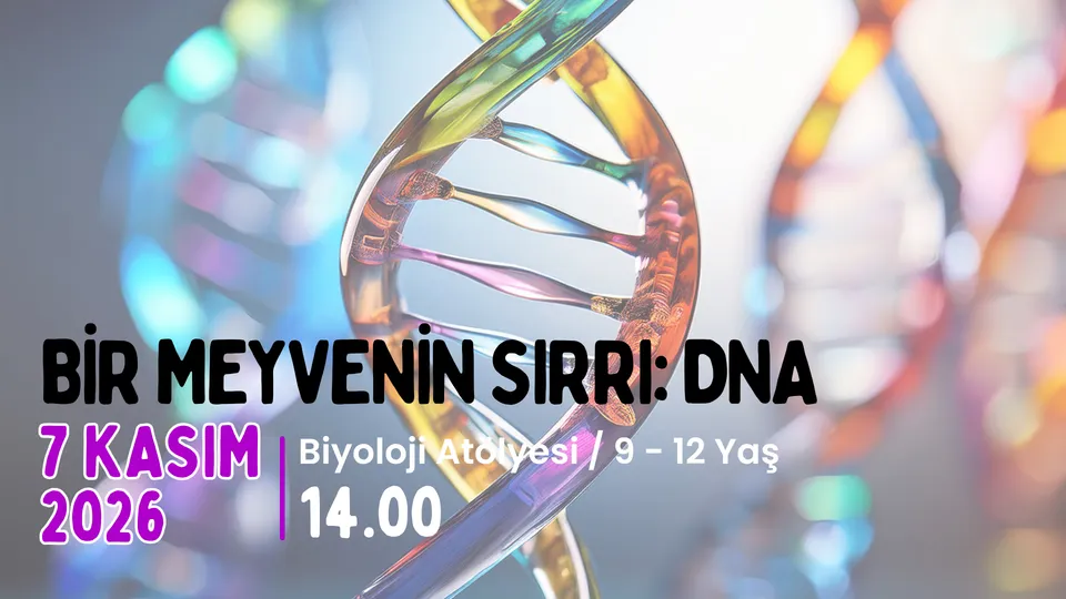 Etkinlik Fotoğrafı