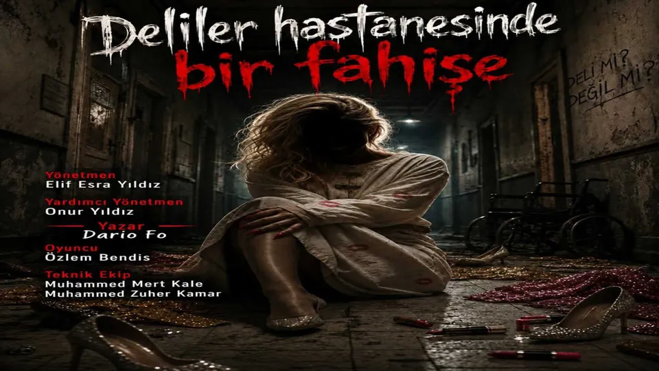 Bir Fahişenin Akıl Hastanesindeki Günlüğü thumbnail