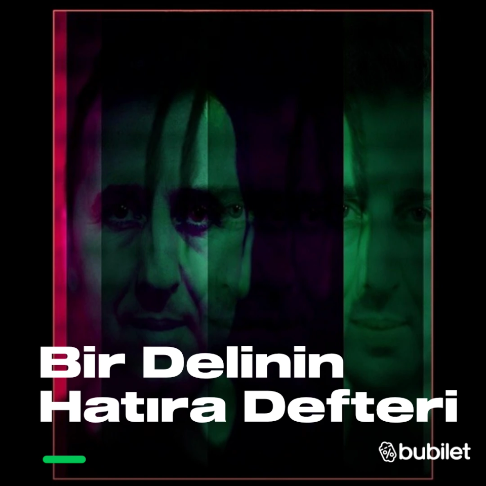 Bir Delinin Hatıra Defteri - Metin Zakoğlu