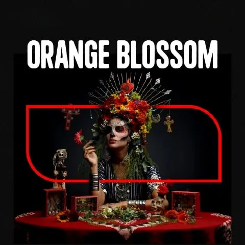 Orange Blossom card