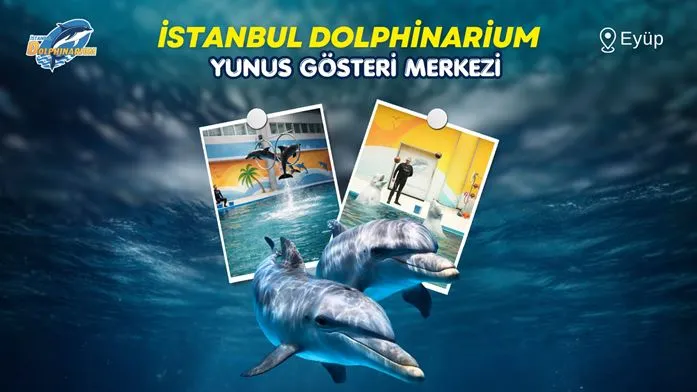 İstanbul Dolphinarium | Yunuslarla 10 Dakikalık Yüzme - Tanışma card