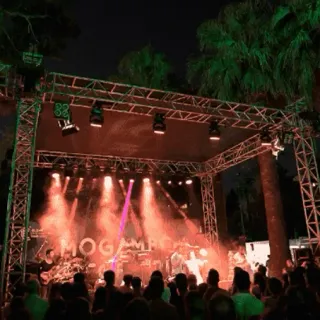 Mogambo - Kültürpark mekan görseli