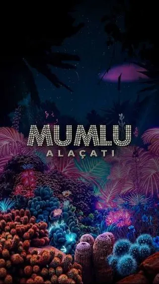 Mumlu Alaçatı mekan görseli